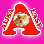 Алиса Изи и мои хомячки